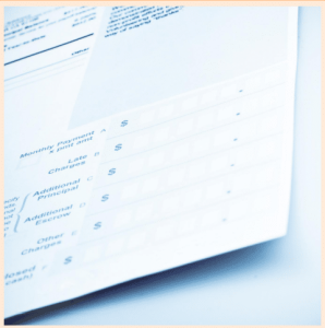 Preparation and Documentatio for AGM