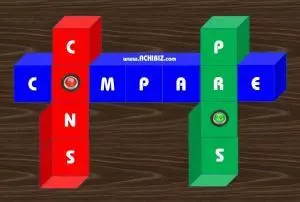Features of Subsidiary Company