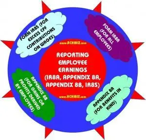 Reporting Employee Earning