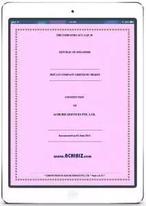 Customisation of the Constitution of the Company