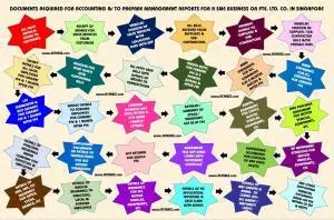 Singapore Accounting & Annual Reports