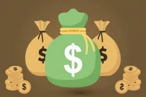 Cash Benefits In Lieu Of Maternity Leave