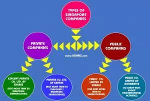 Business Organisation Structures